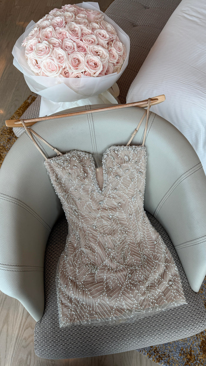 Celestine Dress (On hand)