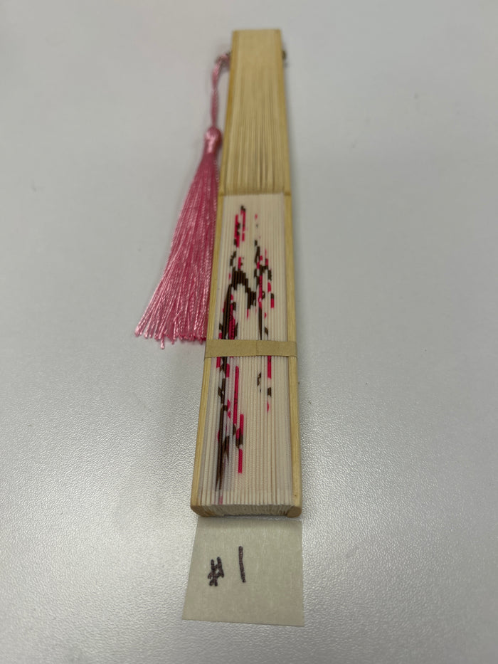 Hand Fan
