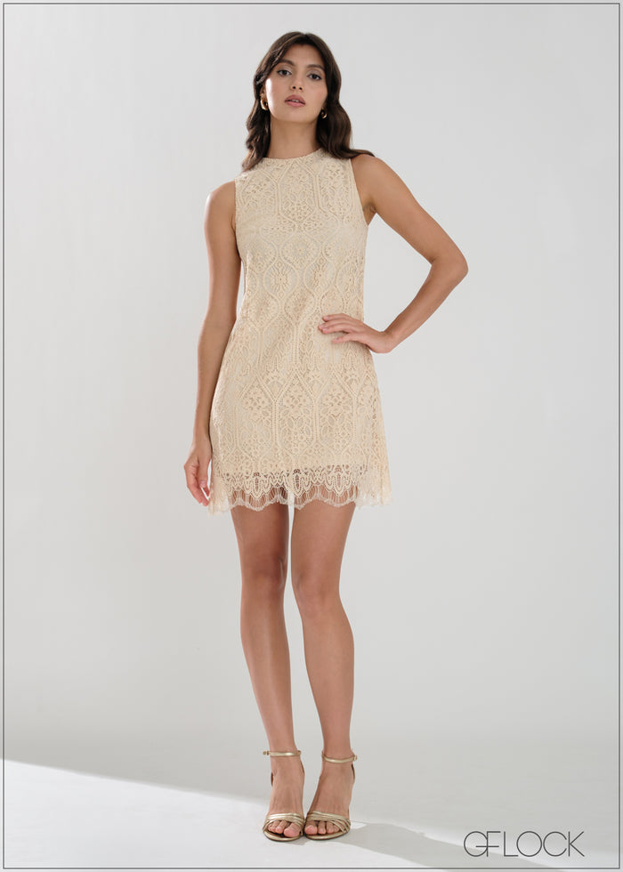 Lace Detailed Mini Dress - 221225