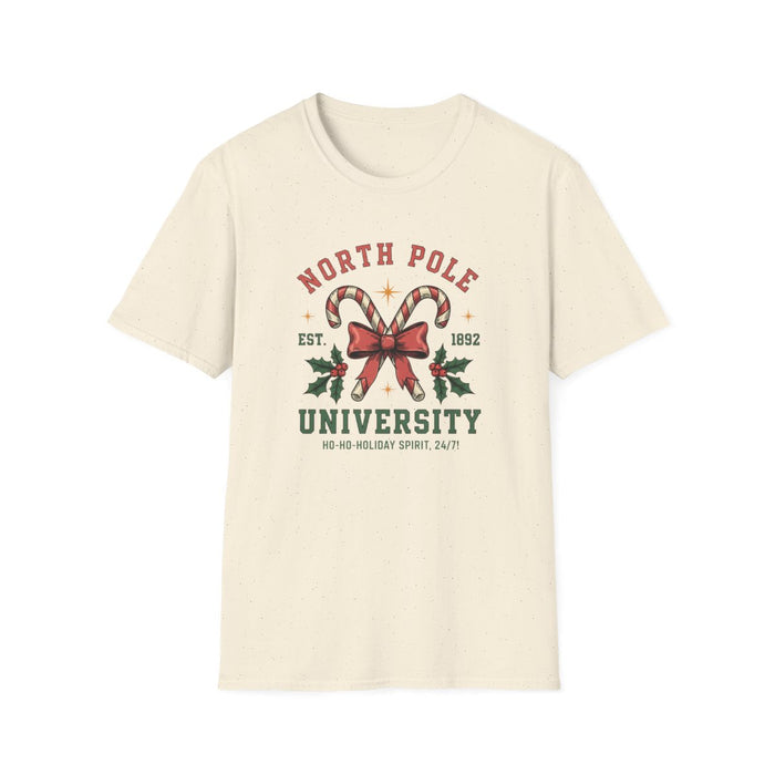 light blue t-shirt with north pole university festive print