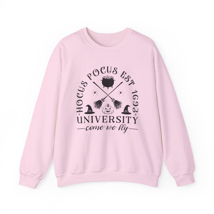 Witch University Halloween Sweatshirt - funny sweatshirt by Cheeky Business